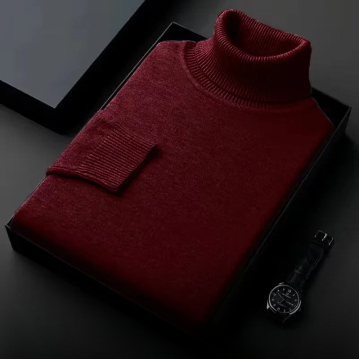 Leon - Rollkragenpullover aus Kaschmir