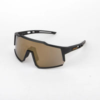 Model 2 Gold-Schwarz