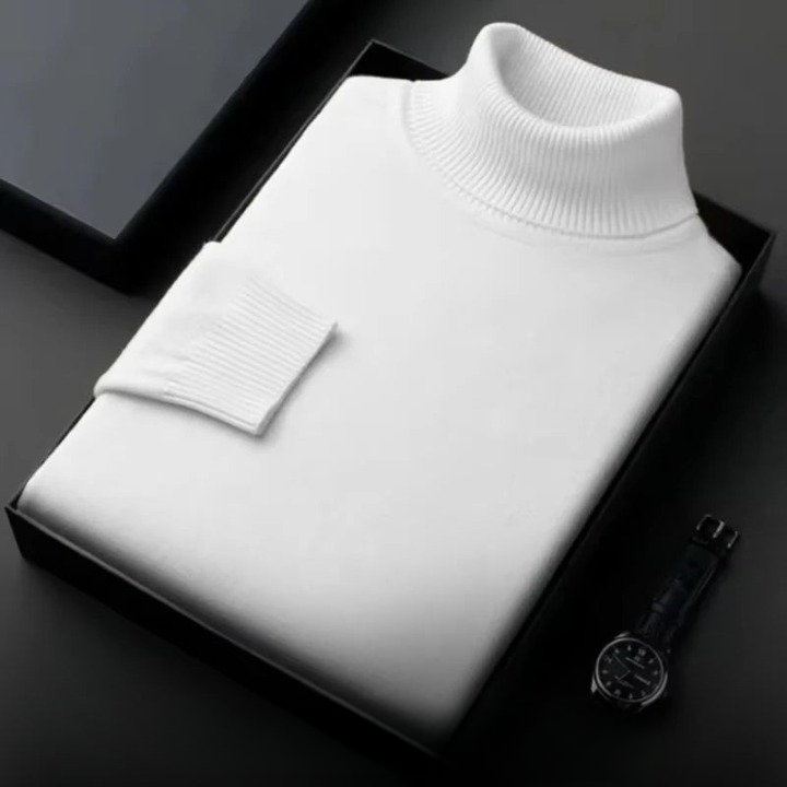 Leon - Rollkragenpullover aus Kaschmir